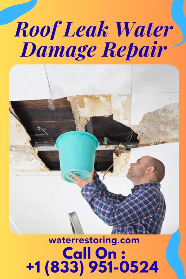 Roof Leak Water Damage Repair in Arlington, SD